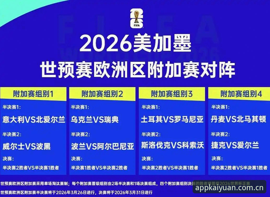 全球球迷签证困局深度分析：2026世界杯观赛障碍全面解析